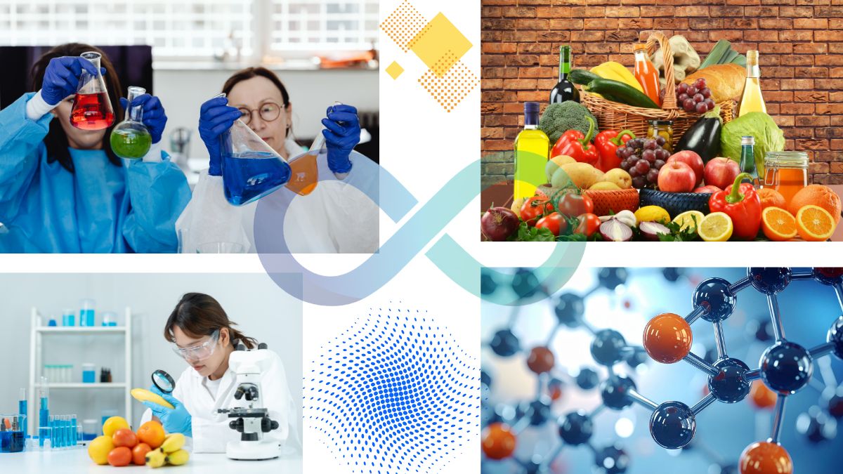 Chromatography Testing Sample Analysis