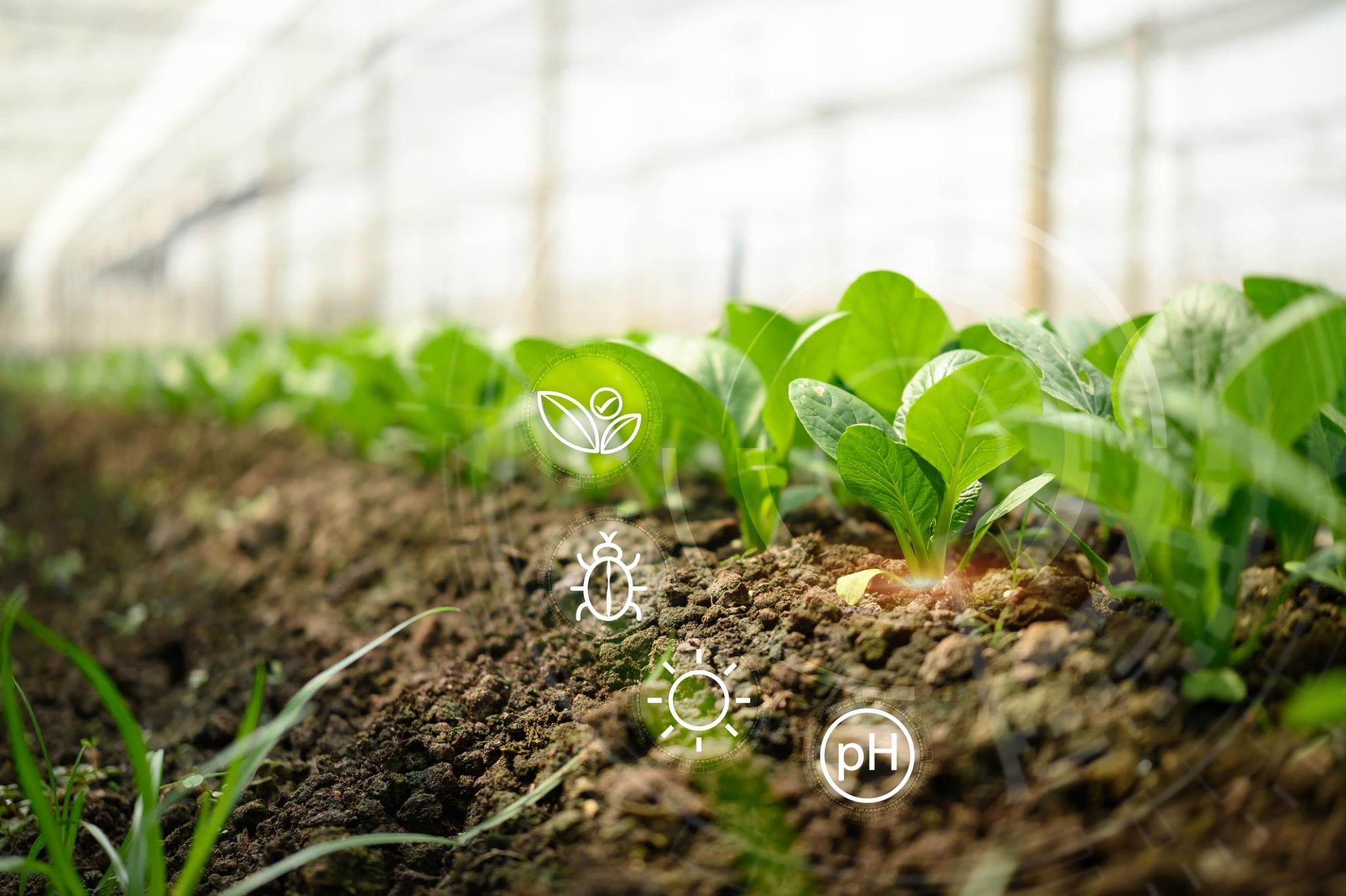 Agrochemical Manufacturing Ecosystems
